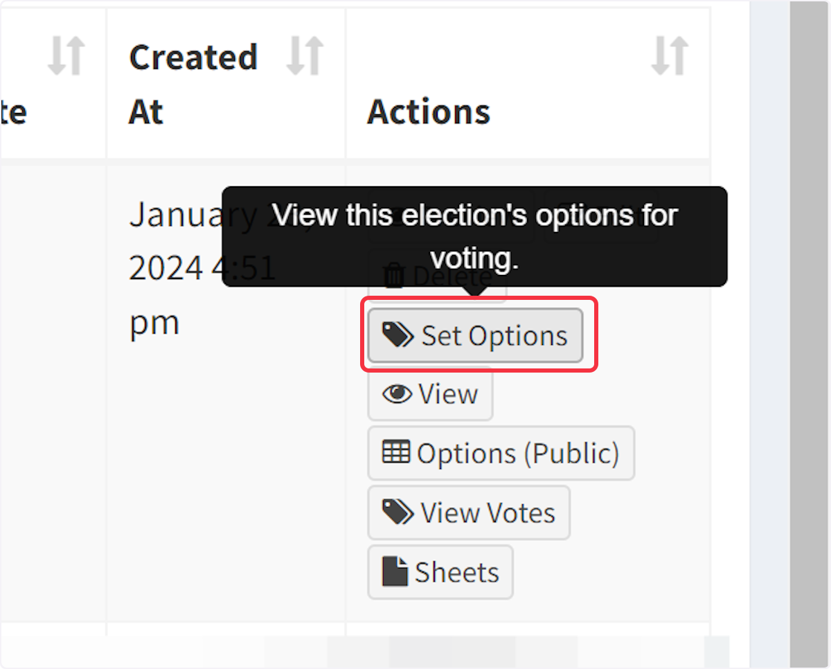 To add voting options, navigate to "Set Options."