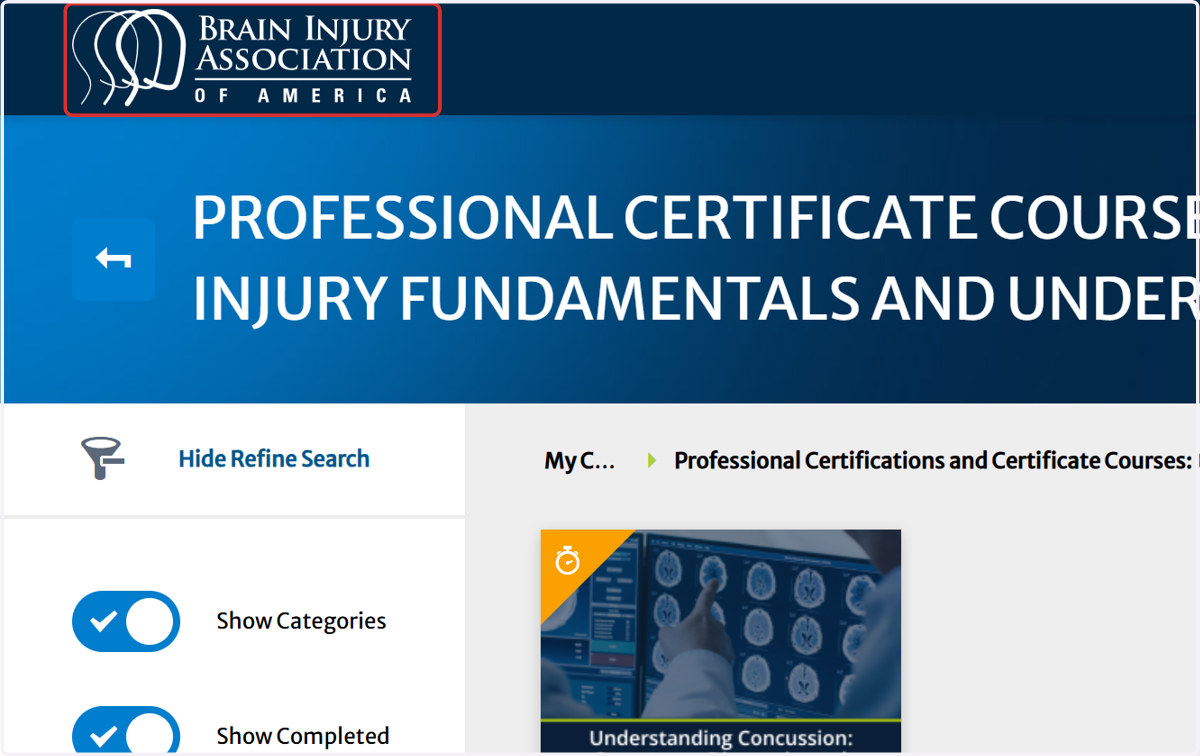 Click on BIAA: Brain Injury Association of America Dashboard