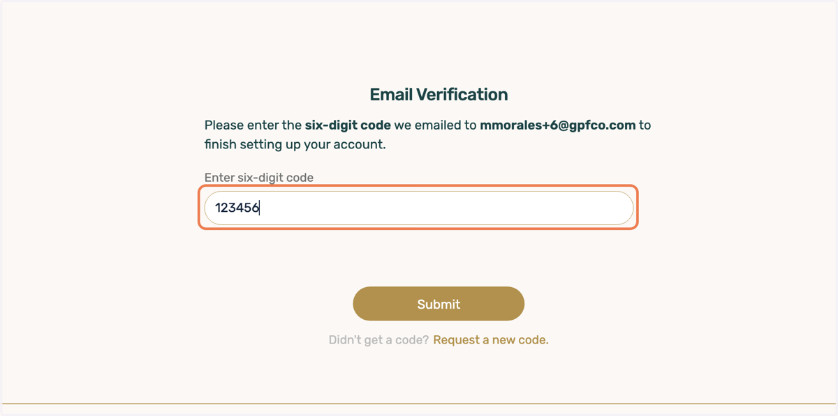 Type in the six-digit code we sent to your inbox