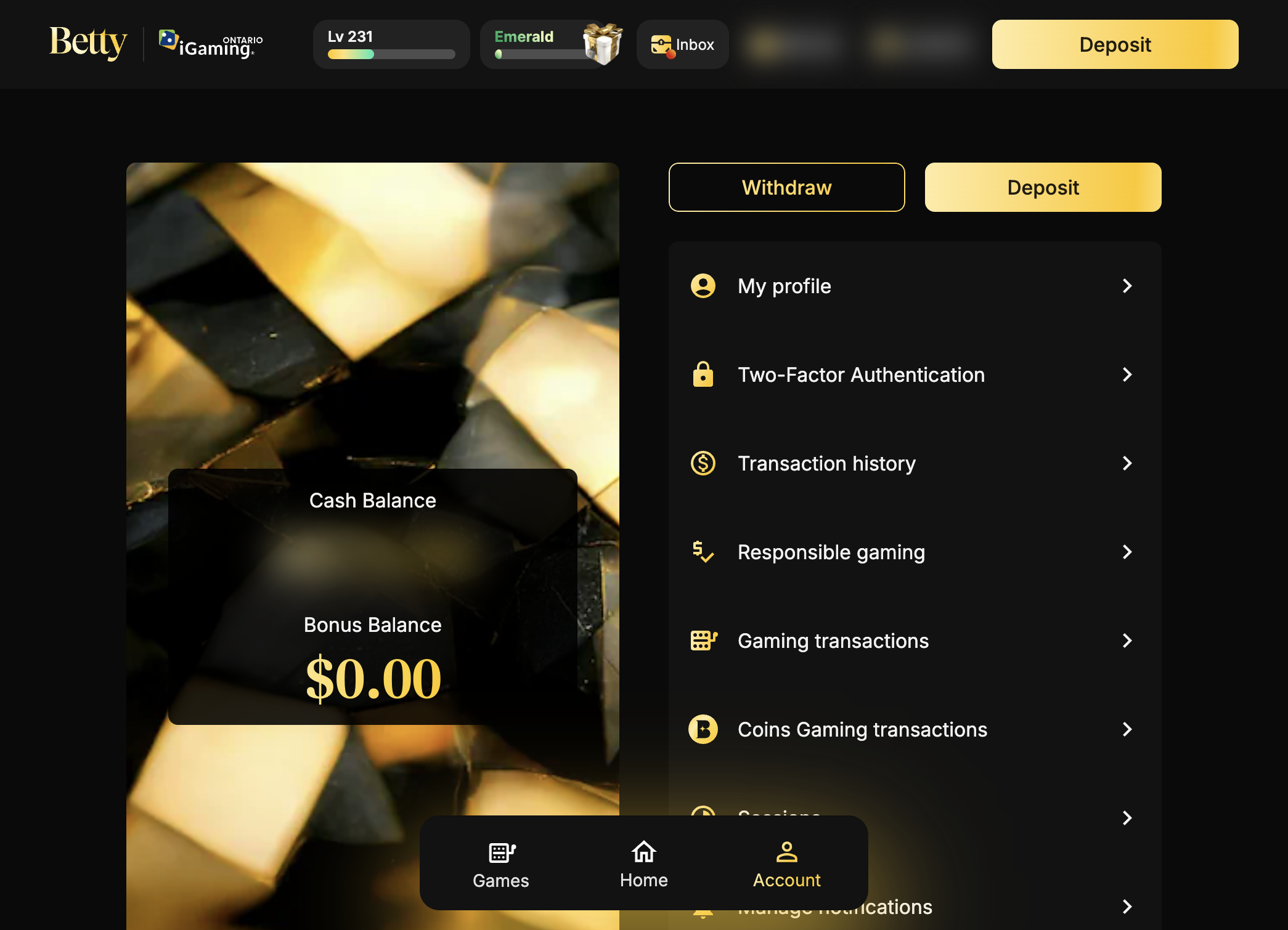 Click on Gaming transactions
