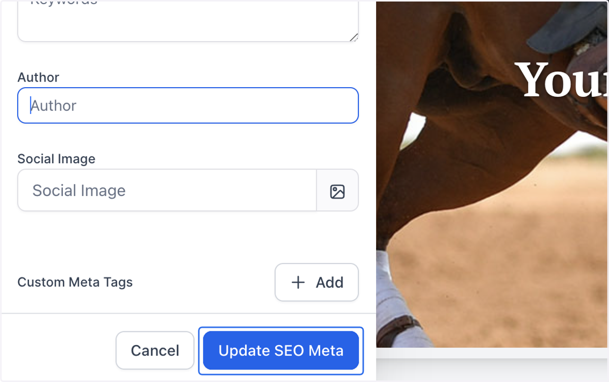 Click on Update SEO Meta