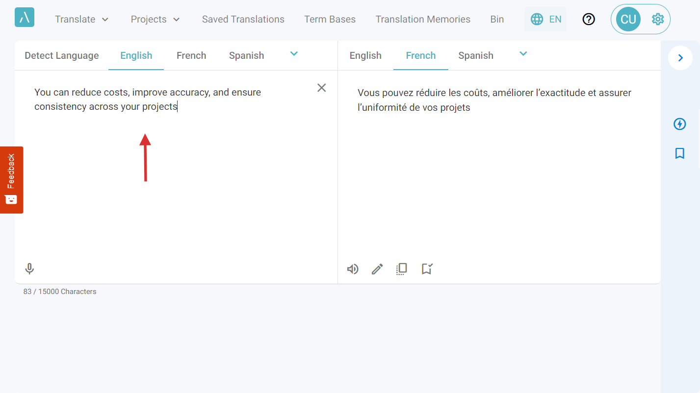 Type, paste or use the Speech to Text functionality to add the Source text in the corresponding box.