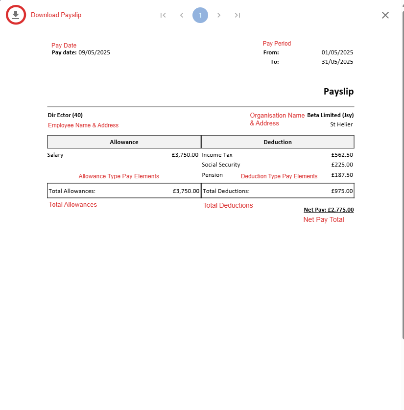 Payslip Example & Definitions