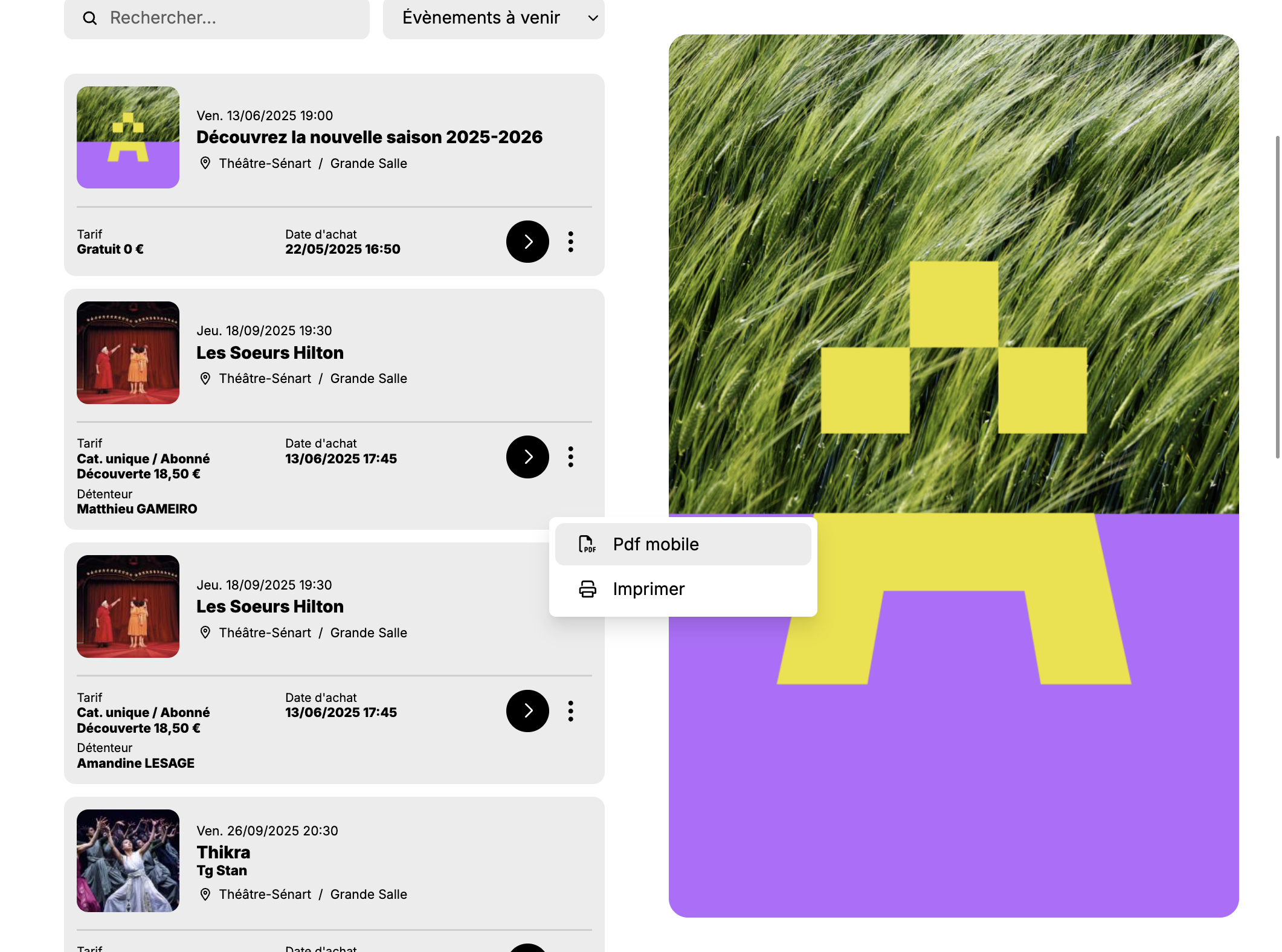 Cliquez sur pdf mobile