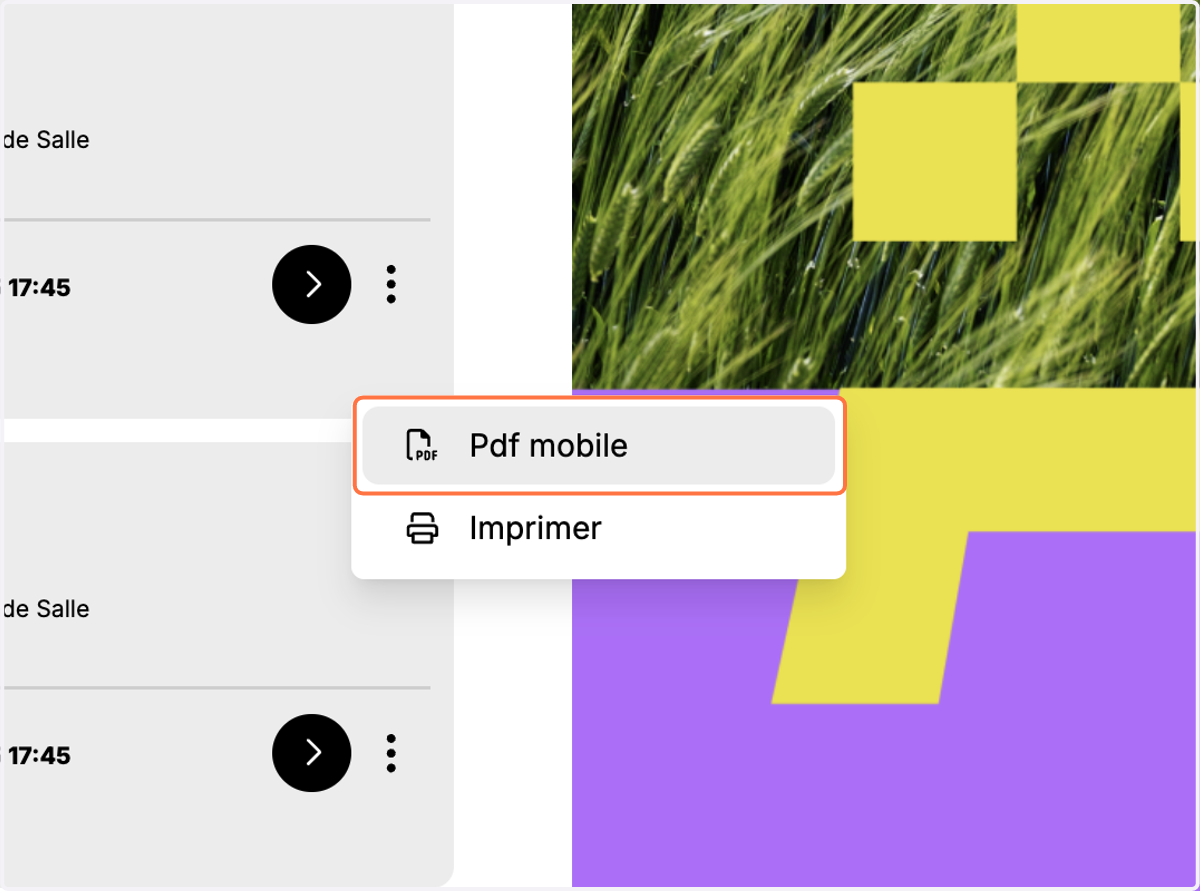 Cliquez sur pdf mobile
