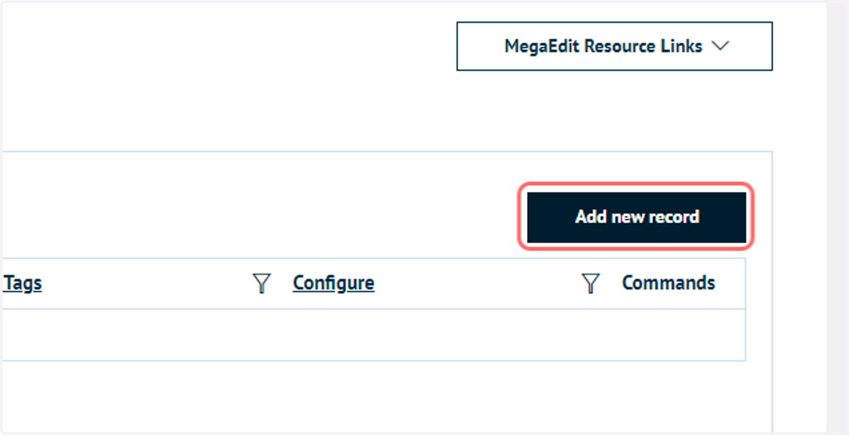 Click on Add new record