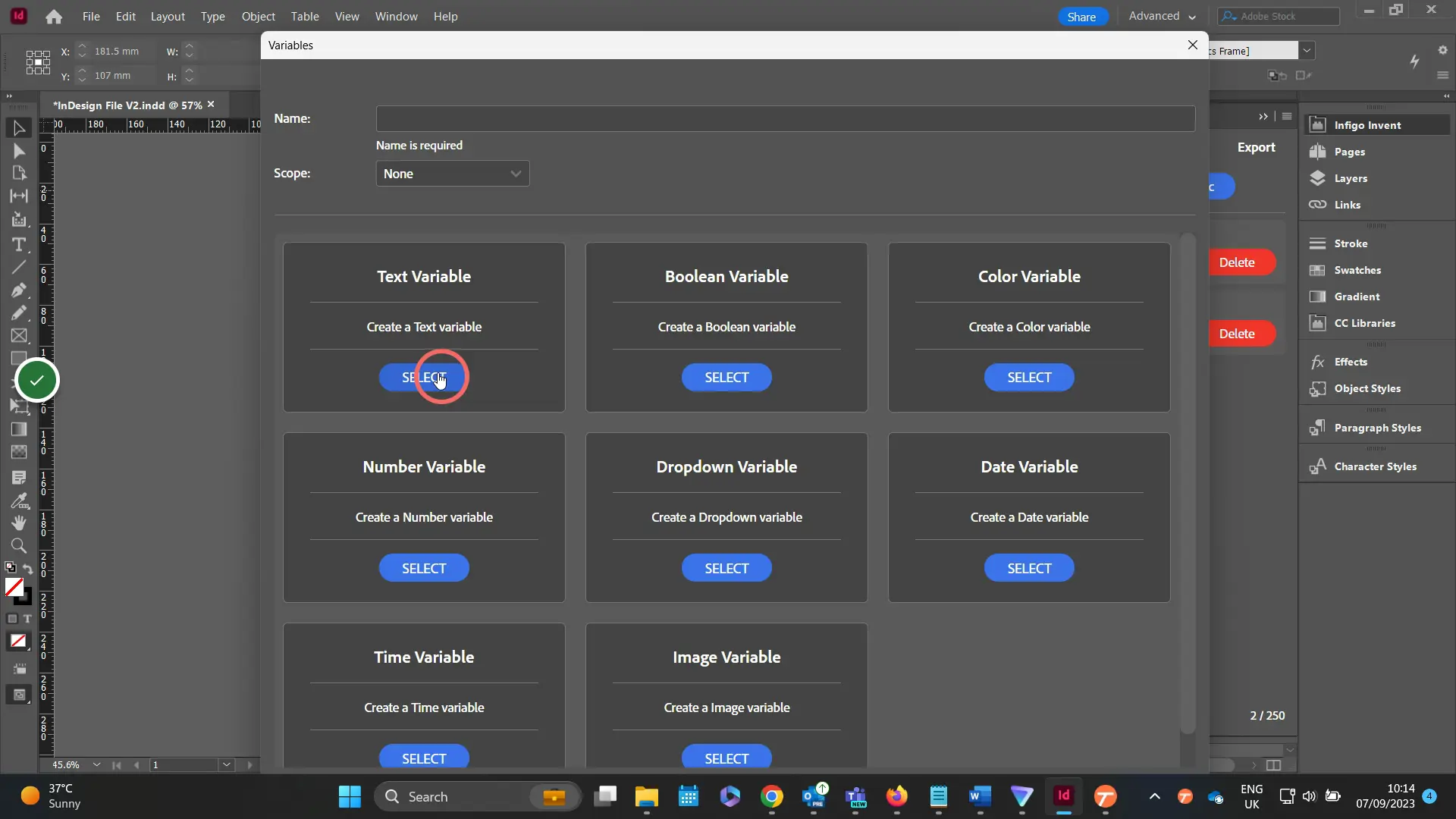 Select the variable type