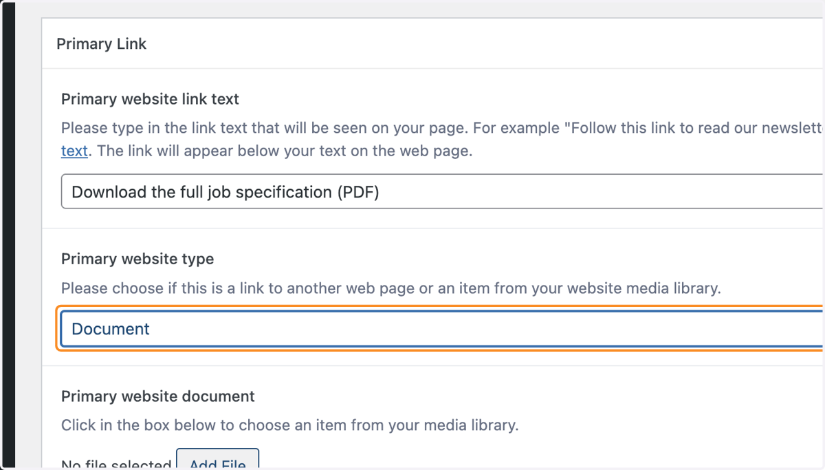 Document selected from the Primary website type drop-down