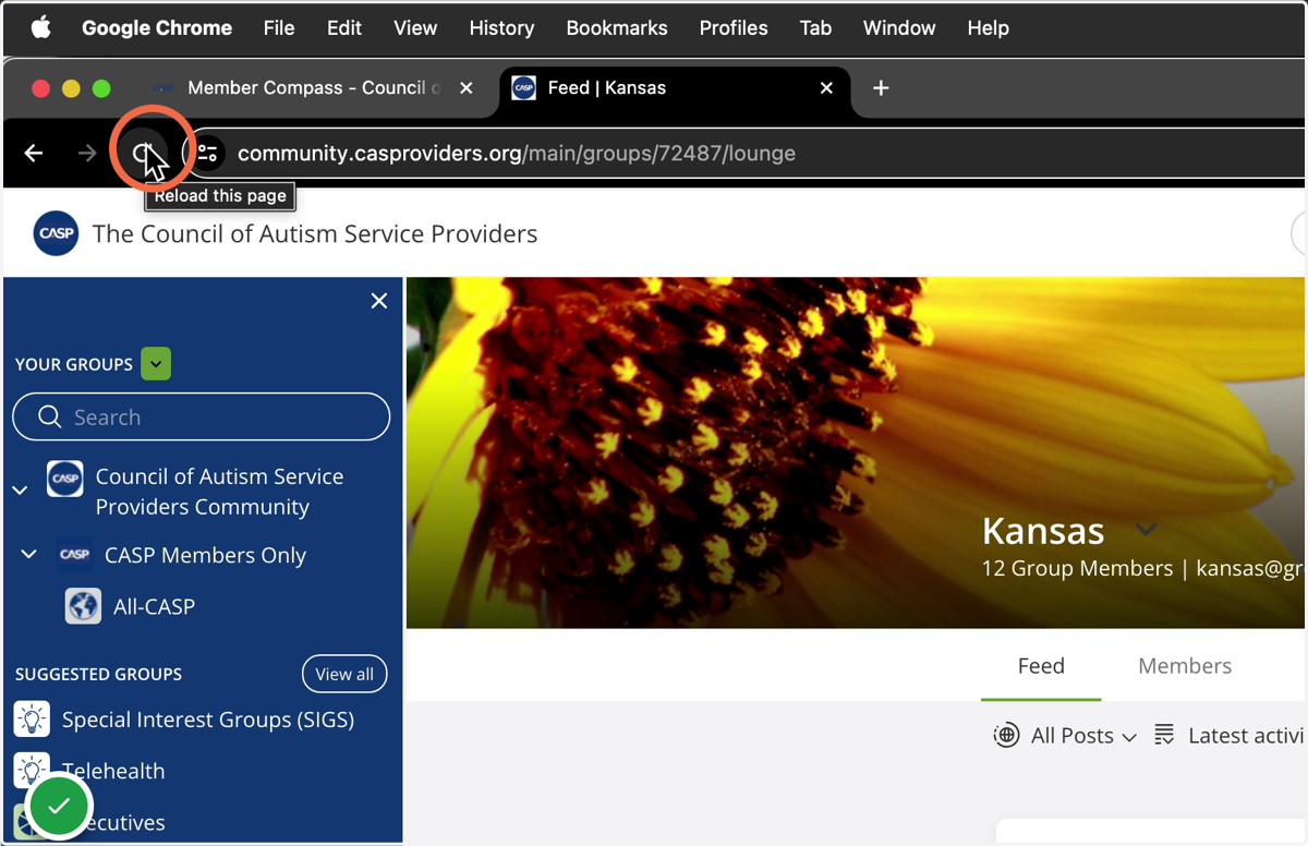 You may need to refresh your browser in order to access a newly joined group.