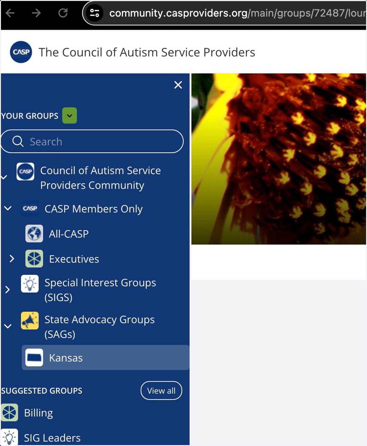 Once you have joined a group, it will be listed under the "Your Groups" heading.