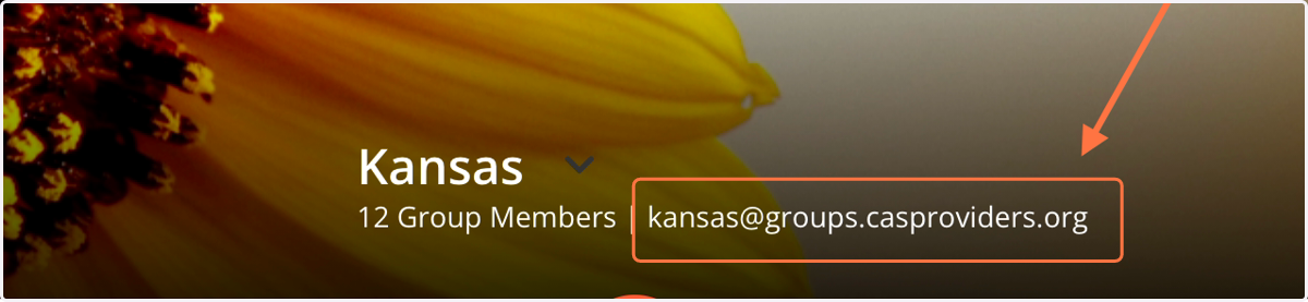 You can also post to any group via email using your preferred email application.
