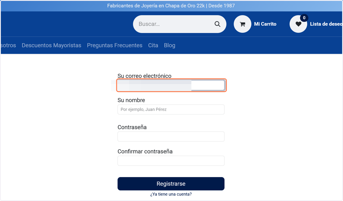 Escribe tu correo