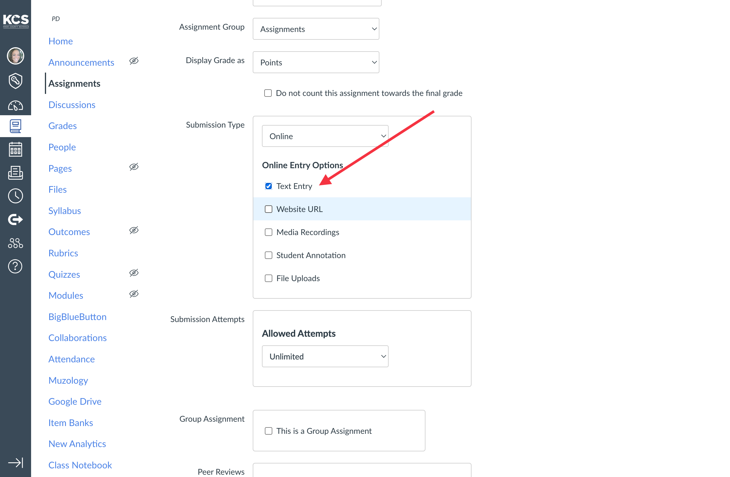 Check Text Entry