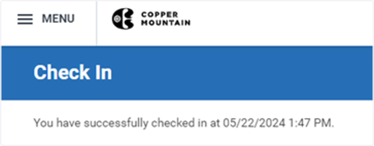 Confirmation of successful check-in will appear