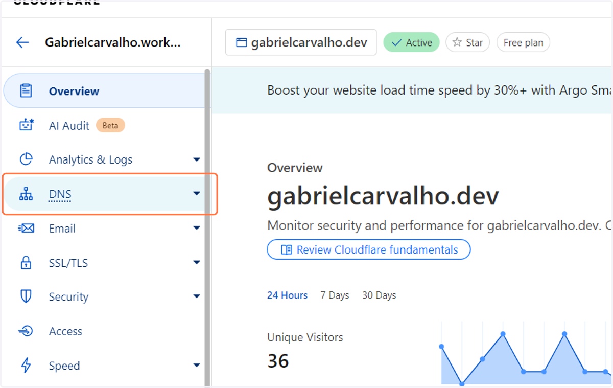Click on DNS