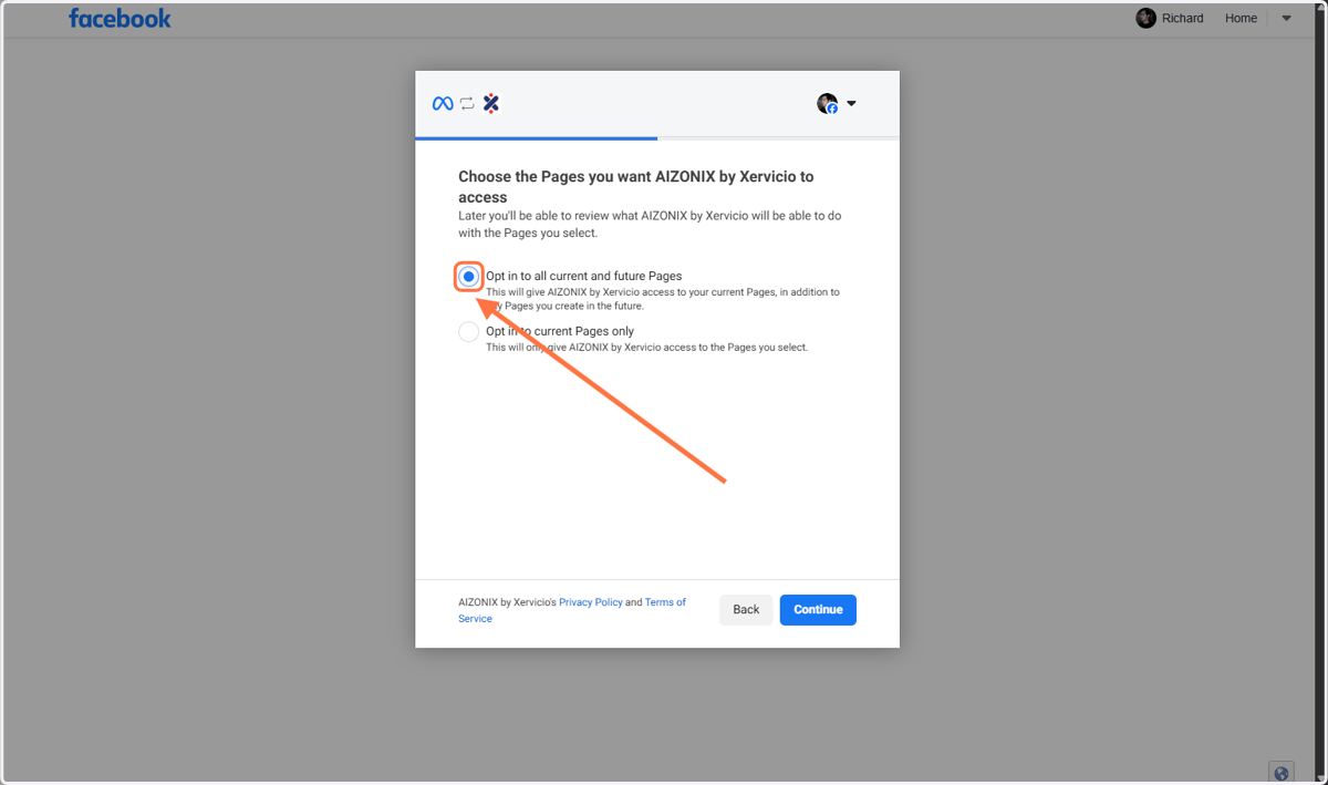 Select Opt in to all current and future Pages…