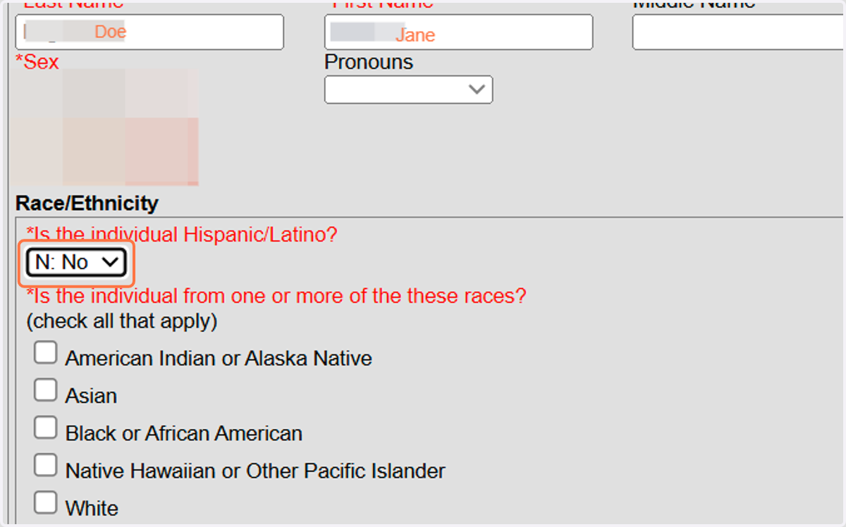 Enter the required information for Race/Ethnicity