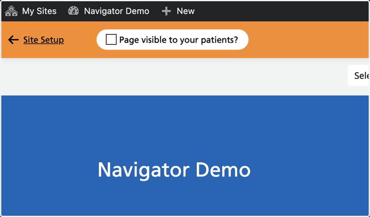 The Page visible to your patients? tickbox without a tick visible.