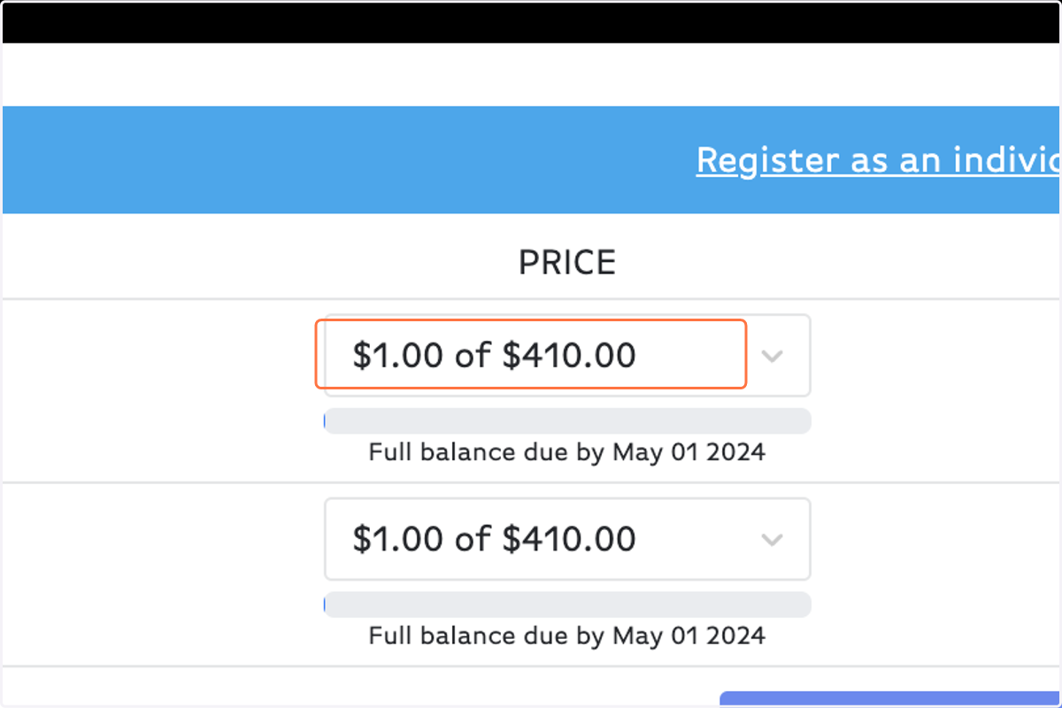 Choose your payment amount