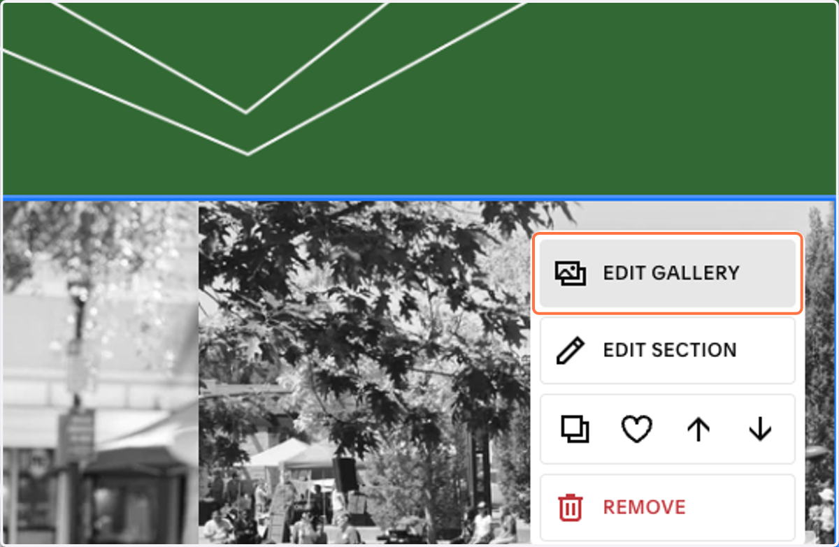 Click on EDIT GALLERY
