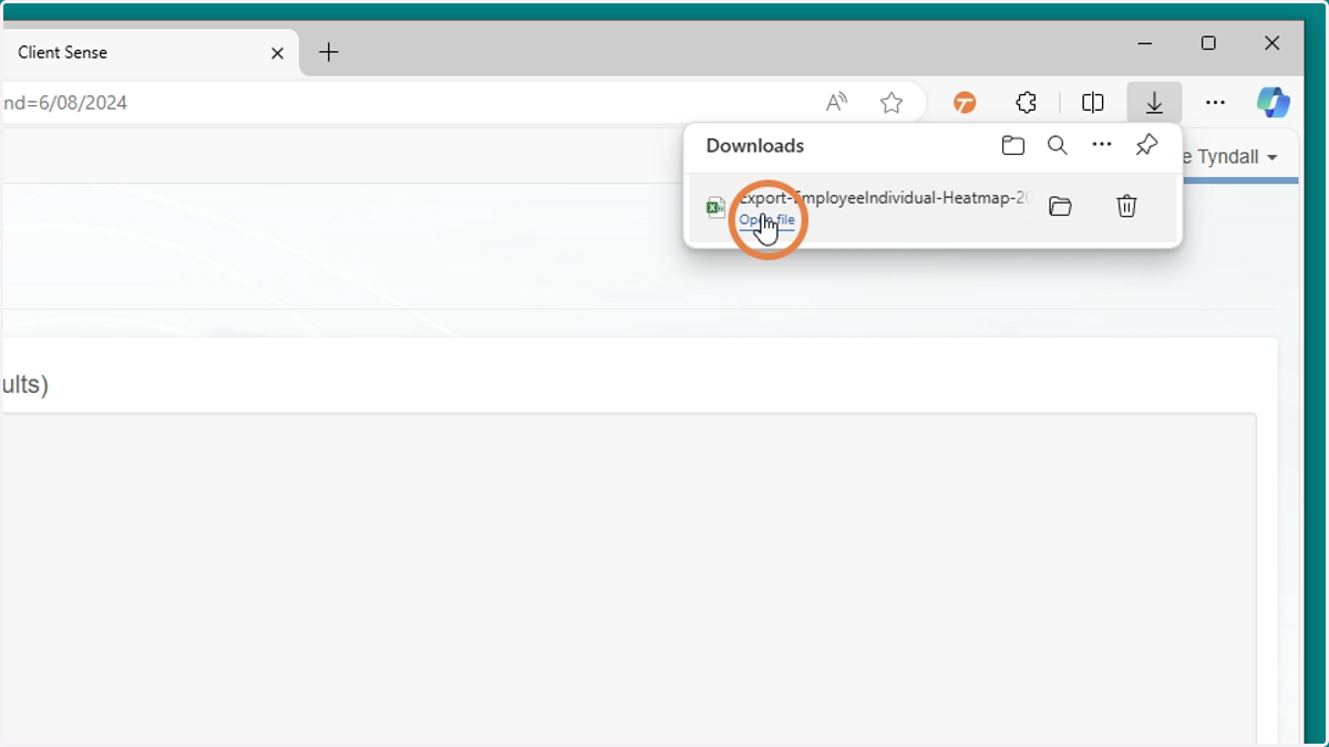 Open the downloaded Excel file