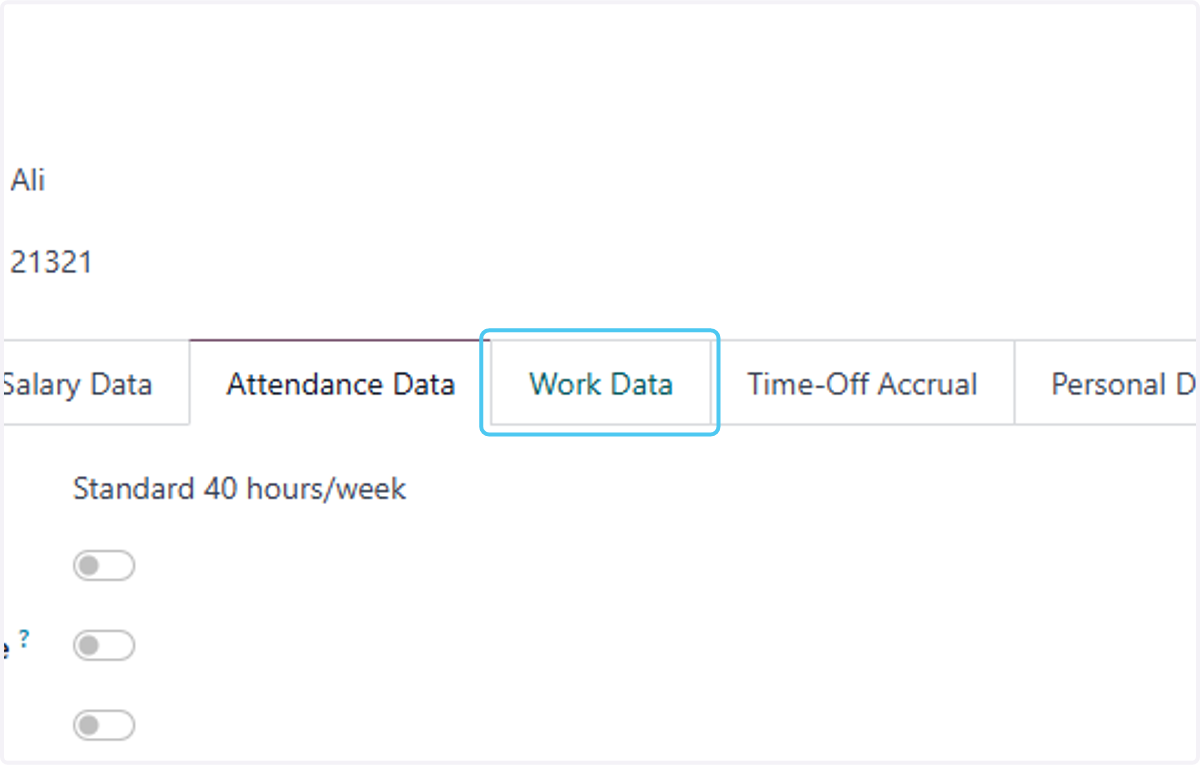 Click on Work Data and add the Work details