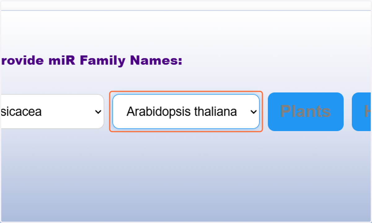 Select a Plant of a selected family. Here Arabidopsis thaliana of Brassicacea is chosen. (If you dont select a plant an error will be generated.)