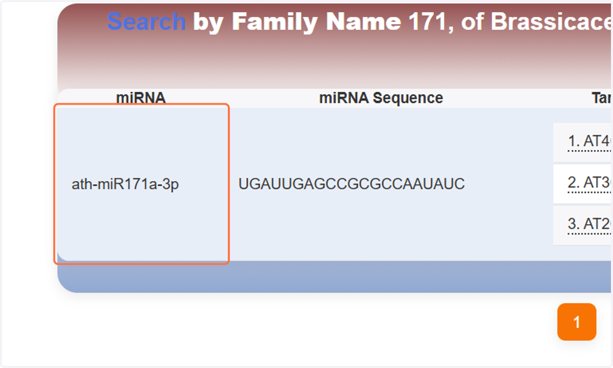 A paginated result will be generated. Here for the above query one miRNA results can be observed. Here the red box shows the miRNA name.
