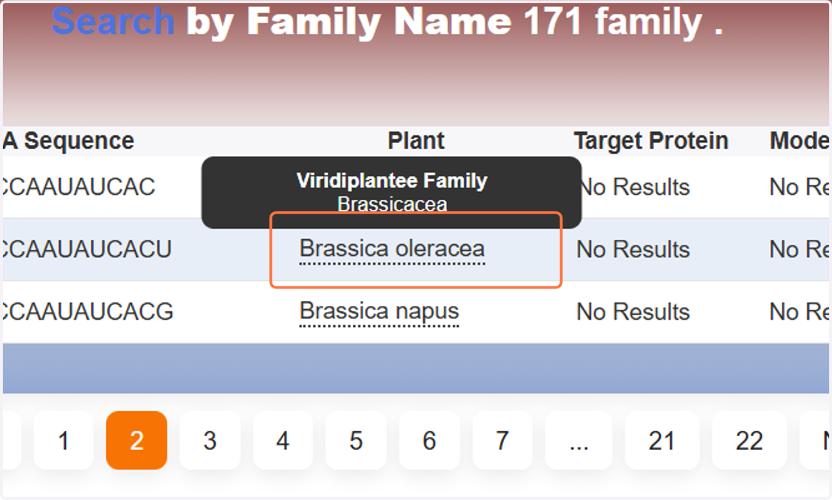 This shows pagination. The first page is shown first. Clicking on the other buttons shows results in other pages. In one page, three results grouped by miRNA name is shown. Next and Previous Buttons shows the corresponding next and previous pages.