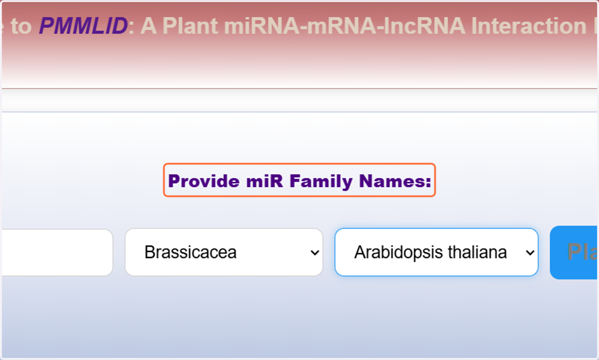 Provide miR Family Names - It is the main search frame.