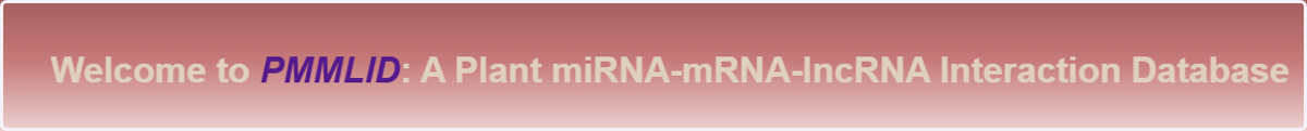 This shows the main title page. If you click on the PMMLID, it shows the tutorial and project details