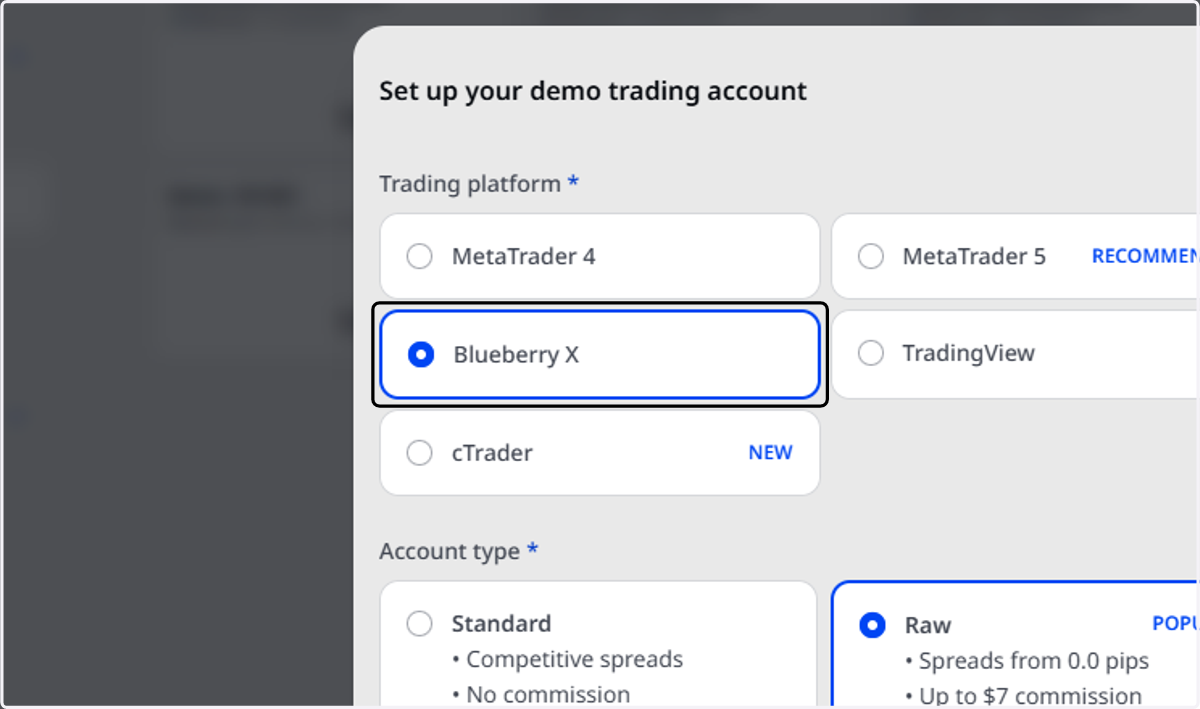 Select BlueberryX as the Trading Platform