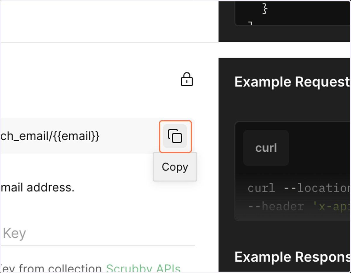 Click on https://api.scrubby.io/fetch_email/{{email}}