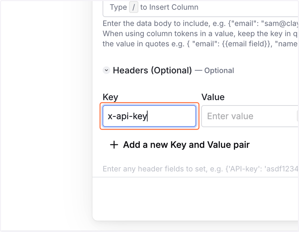 Paste "x-api-key " into input