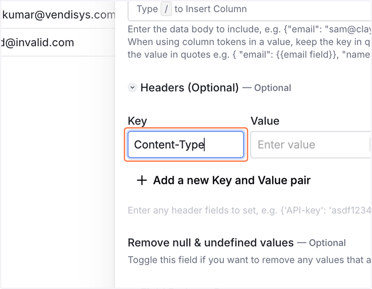 Paste "Content-Type " into input