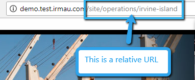 You can also add relative URLs to the Redirect Page. Relative URLs are used by IRM to incorporate links from the IRM websites; either it's a test site or a live site.