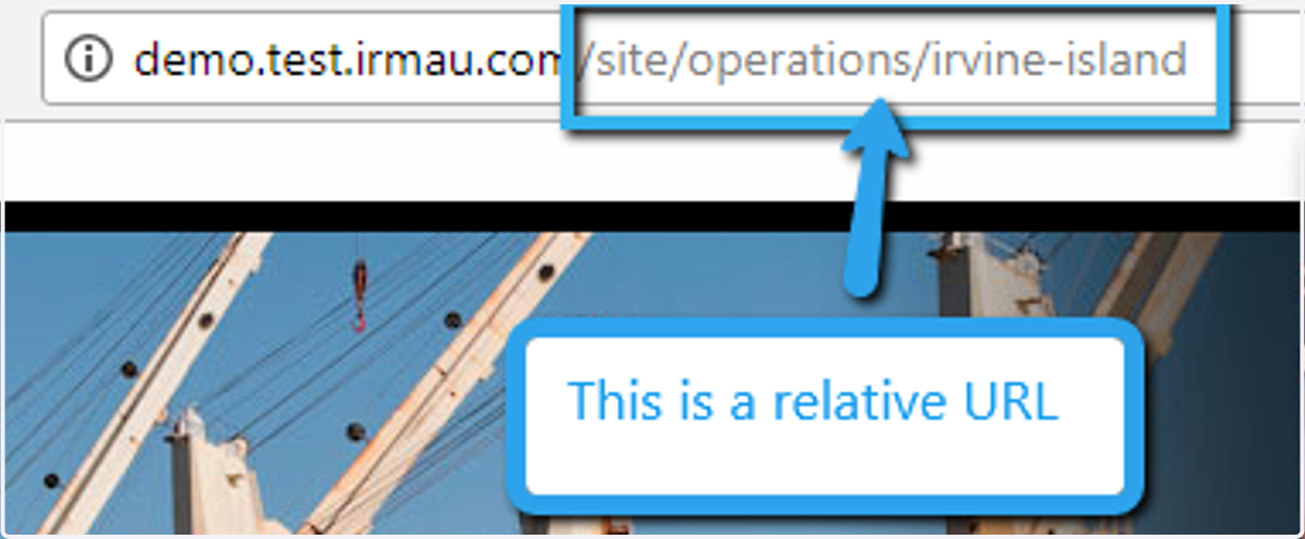 You can also add relative URLs to the Redirect Page. Relative URLs are used by IRM to incorporate links from the IRM websites; either it's a test site or a live site.