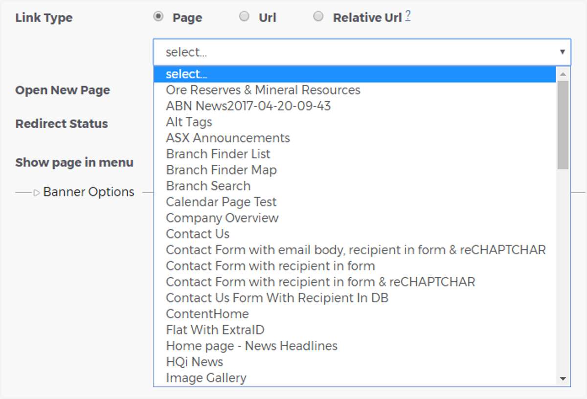 If you want to link to another page within your website, select the "Page" button from the drop-down menu, then decide on the page that you would like to redirect to.