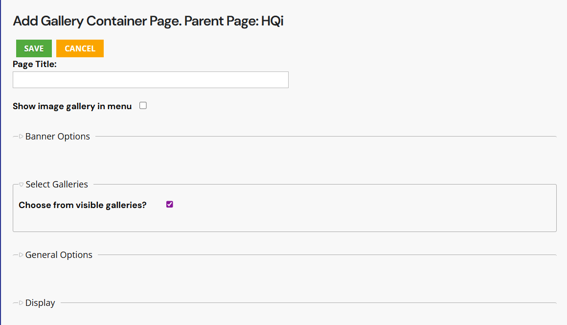 When you choose a "Gallery Page," you'll be directed to the following page (see below). In the "Page Title" field, add the name of your new page. This will appear within HQi and your website.