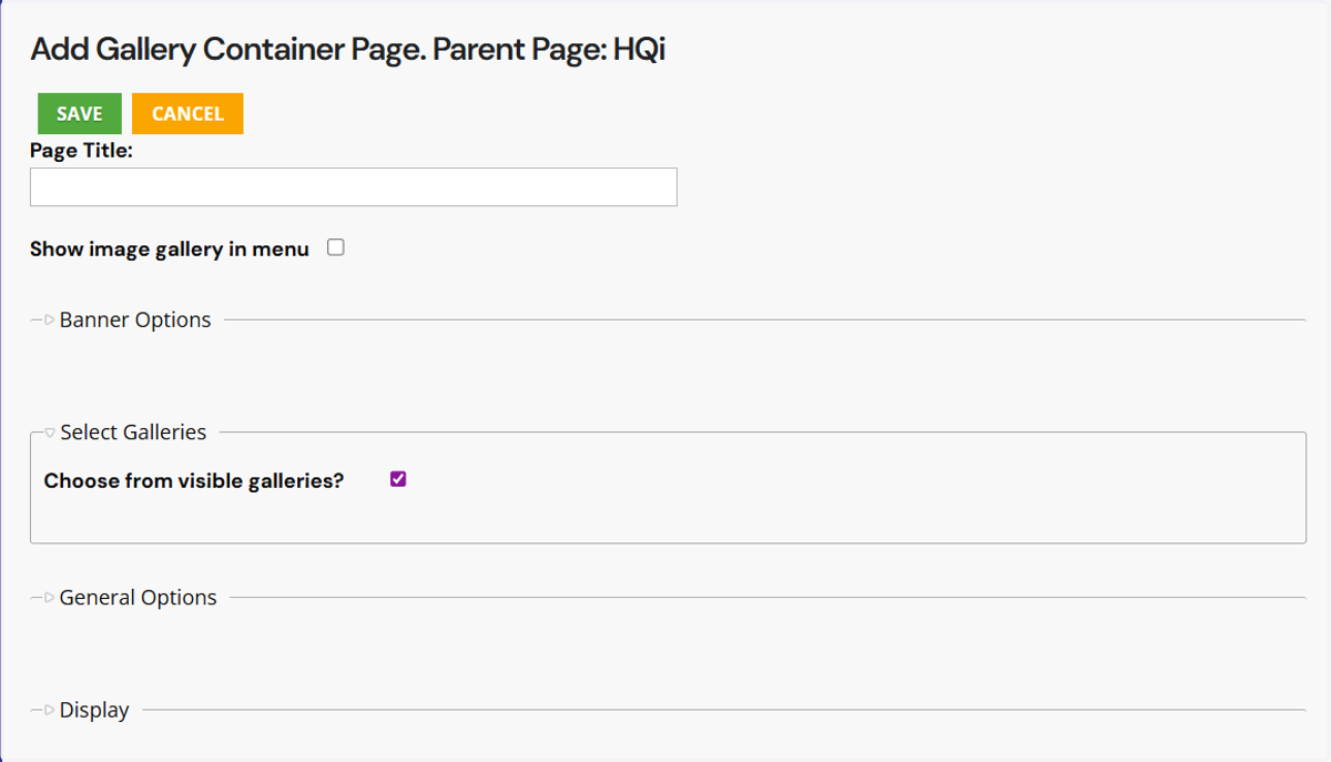 When you choose a "Gallery Page," you'll be directed to the following page (see below). In the "Page Title" field, add the name of your new page. This will appear within HQi and your website.