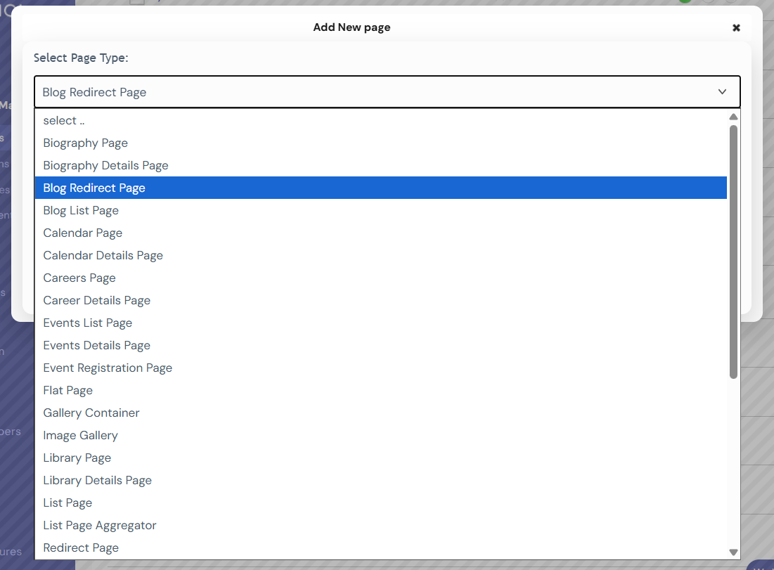 A pop-up box will appear (see below) after your selection. From here you can pick what type of page you would like to create.
