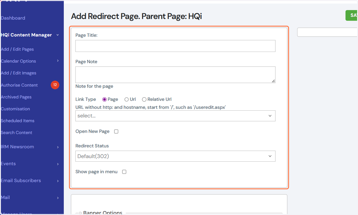 When you choose a "Redirect Page," you'll be brought to the following page (see below). In the "Page Title" field, add the name of your new page. This will appear within HQi and your website.