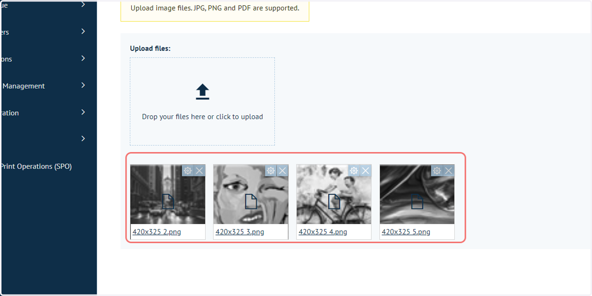 Successfully uploaded images will be displayed