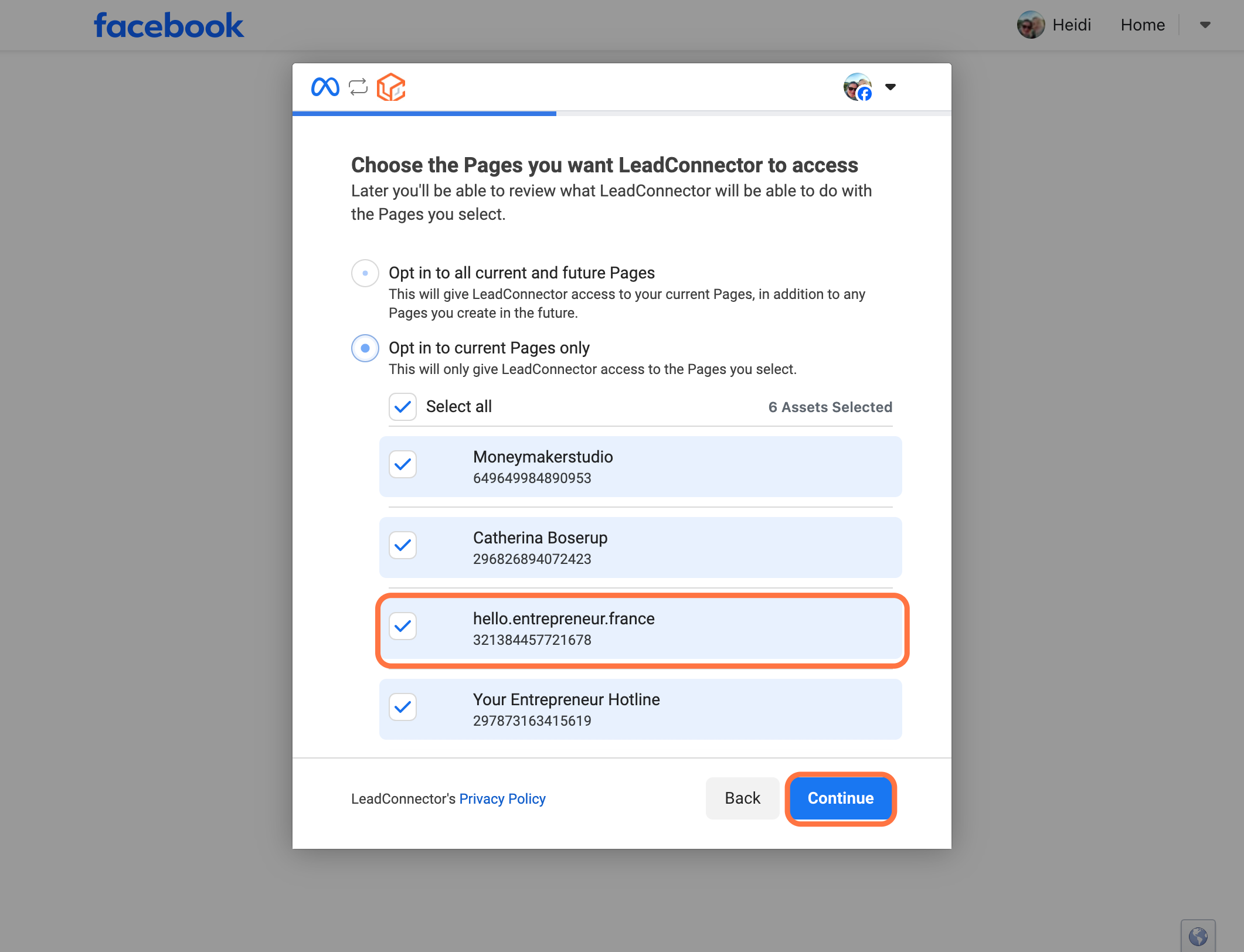 Vælg muligheden "Opt in to current Pages only" og vælg den/de sider du vil tilkoble, derefter klik på "Continue"