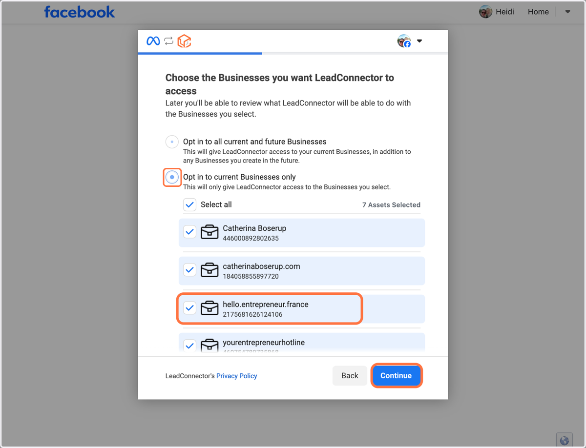 Vælg muligheden "Opt in to current Businesses only" og vælg den/de virksomheder du vil tilkoble, derefter klik på "Continue"