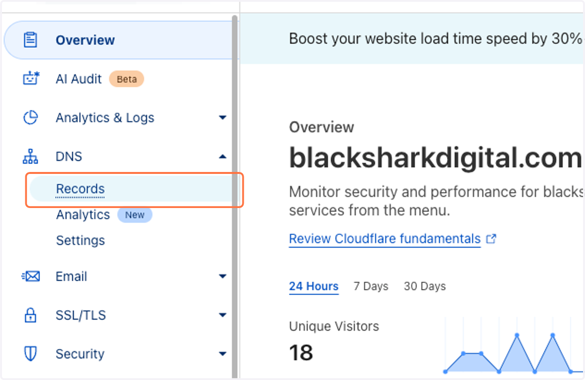 Click on DNS -> Records.