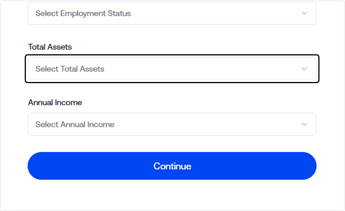 Input your Total Assets