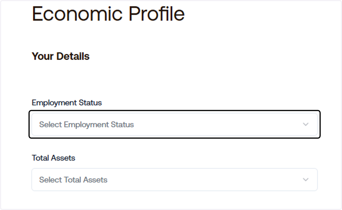 Input your Employment Details