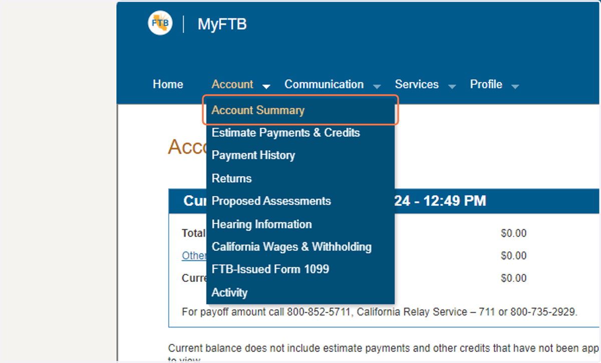 Click on Account Summary from the dropdown menu under the Account tab