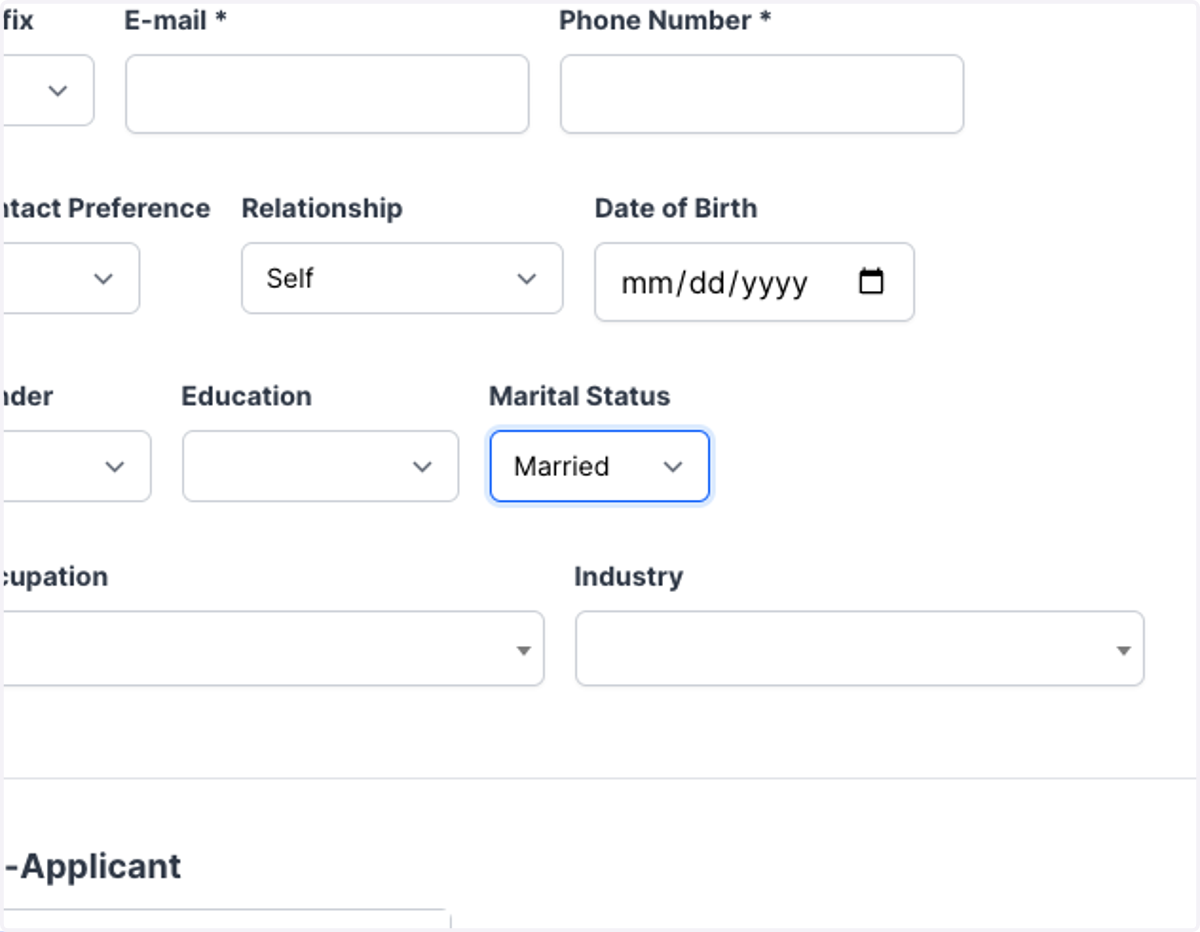 If you select "Married", you will see Co-Applicant automatically added